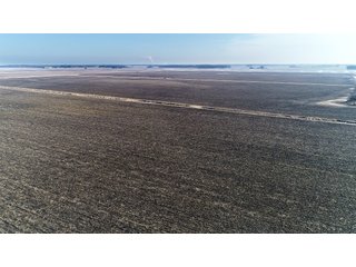 Property photo 6 - LAND AUCTION - 228+/- ACRES OFFERED IN 2 TRACTS IN JASPER COUNTY, INDIANA